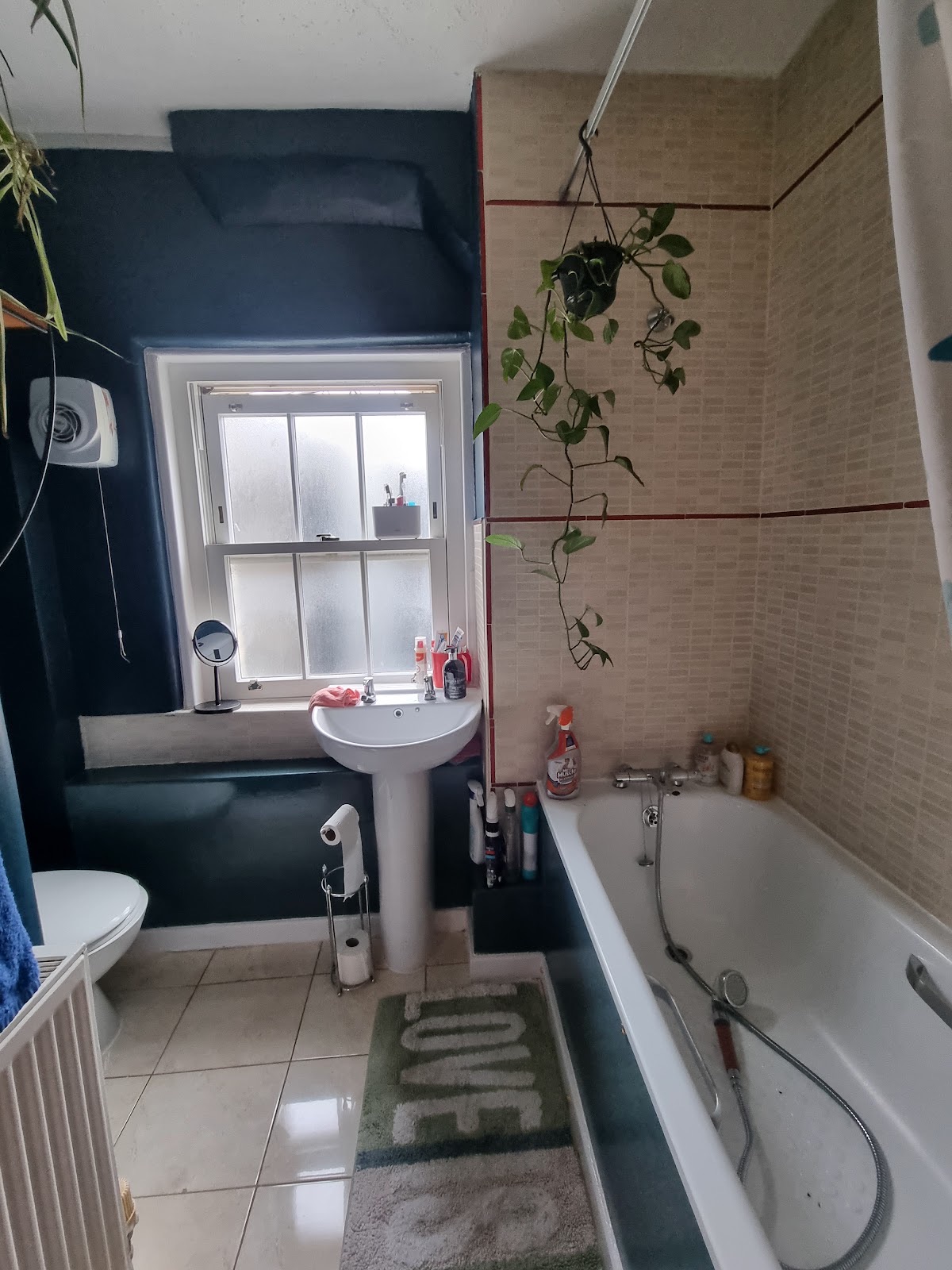 Bruce Lee Handyman Service in Camberwell in Eltham London