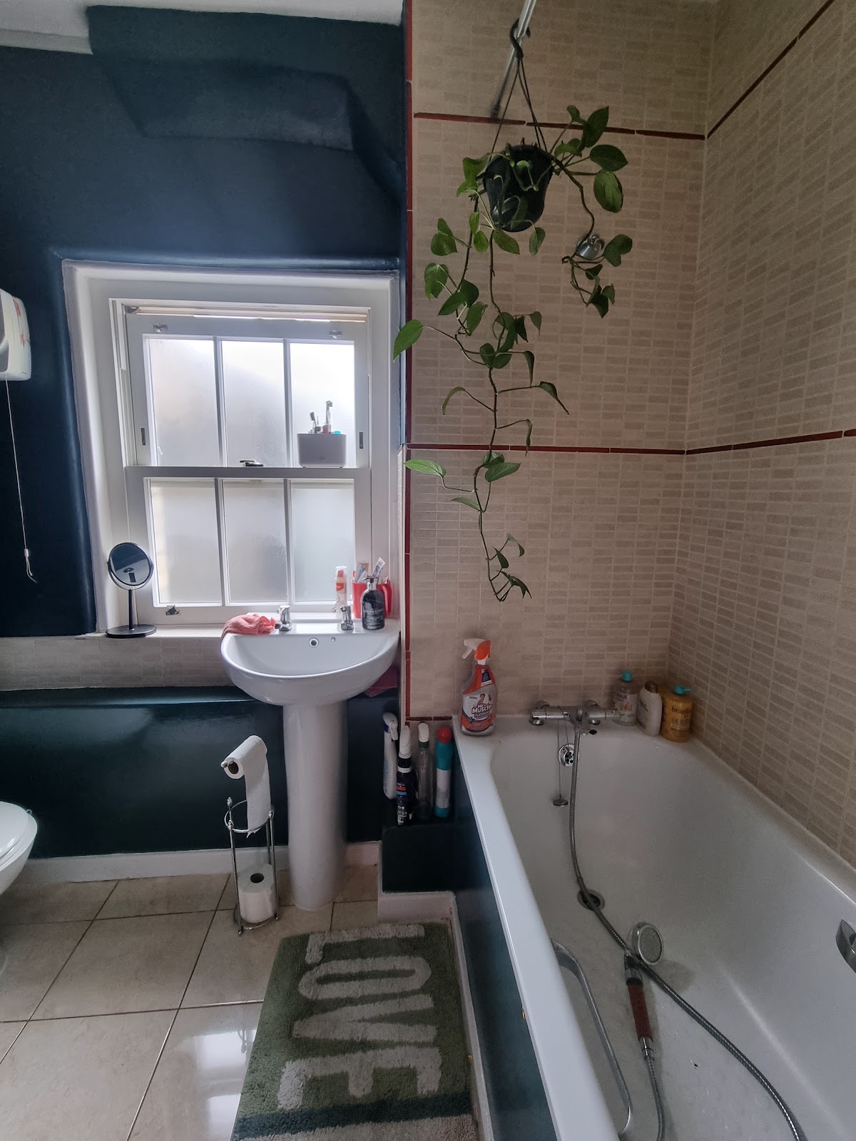 Bruce Lee Handyman Service in Camberwell in Eltham London